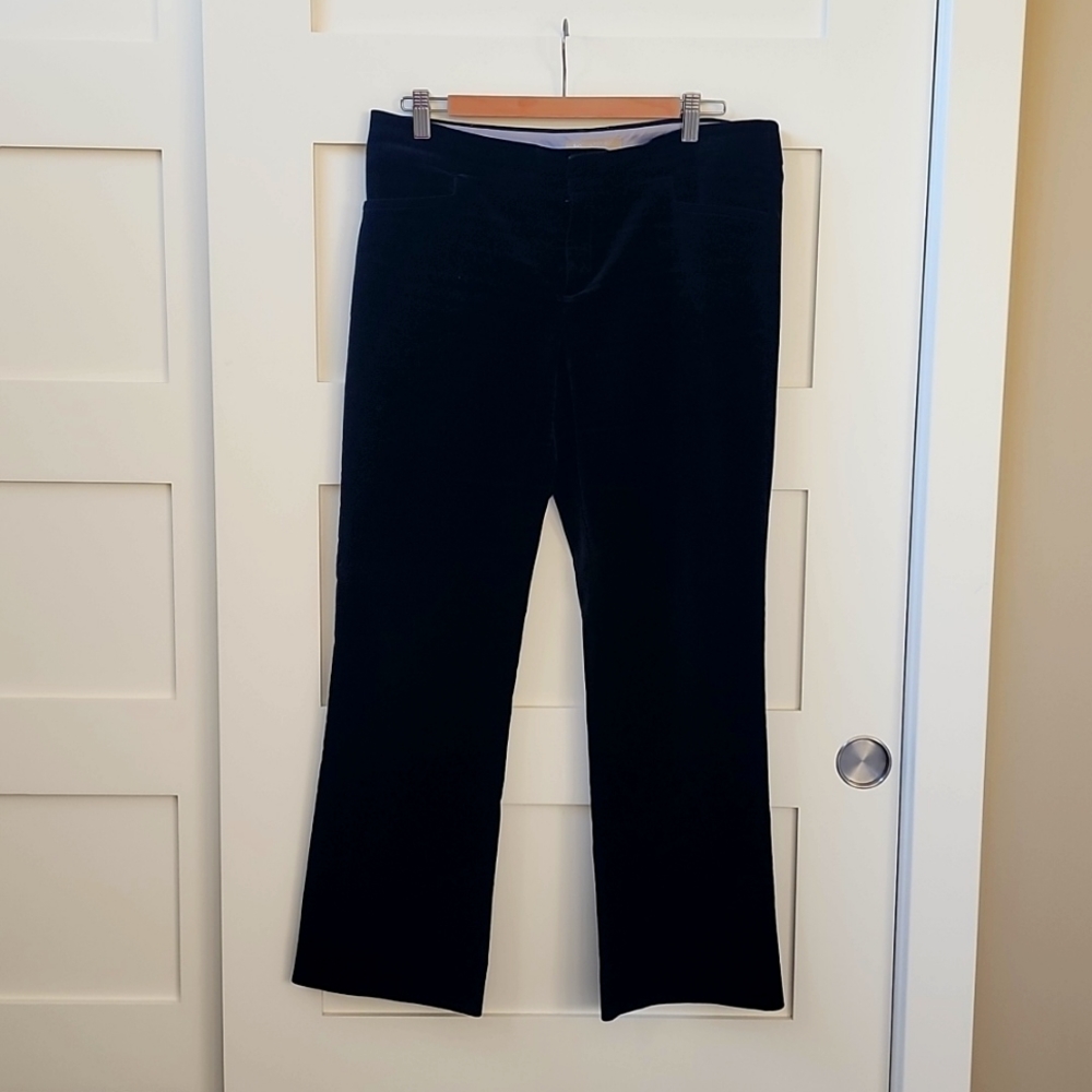 Banana Republic Velour Pants
